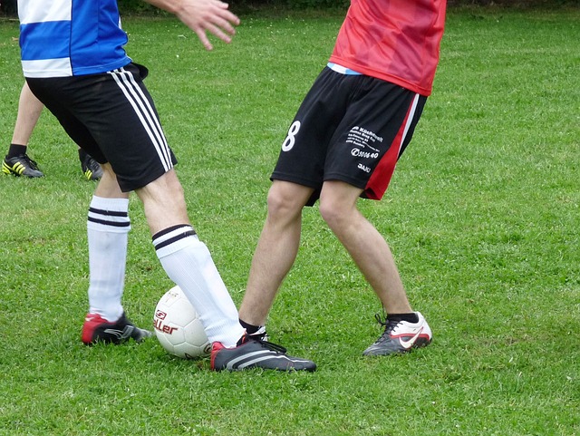 端都发挥了 端都发挥了