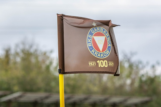 部财政状况 部财政状况