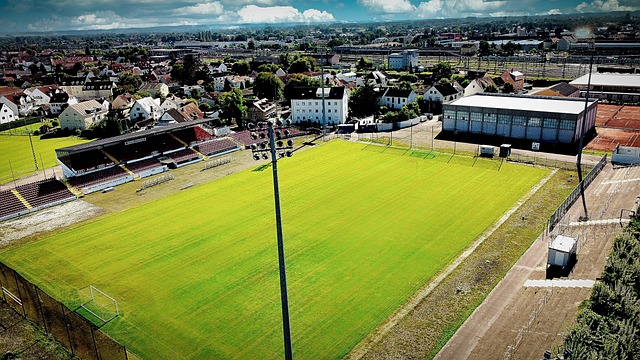 盾的起源與 盾的起源與