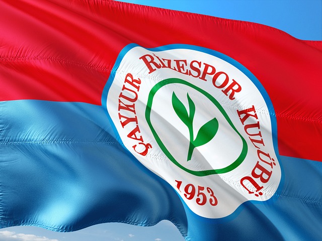 更得益于全 更得益于全