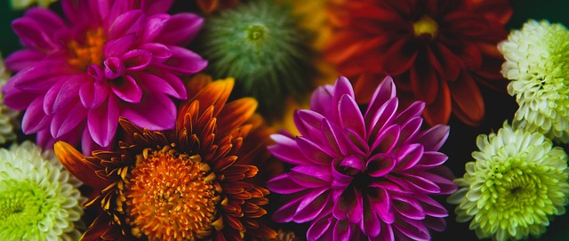 學習和借鑒 學習和借鑒